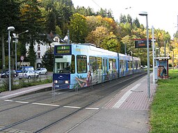 Wiesenweg in Freiburg im Breisgau