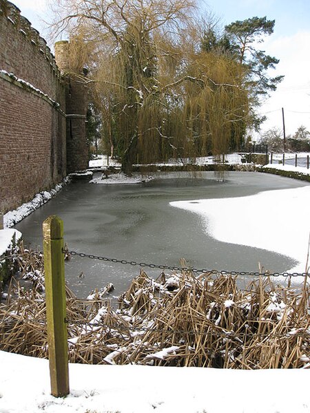 File:Winter willow at Bollitree Castle - geograph.org.uk - 1147110.jpg