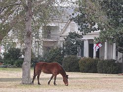 Wynward Hall - plantáž Wynn-Price Home.jpg