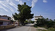 Hauptstraße des Yerakini-Dorfes, Chalkidiki, Jun 2014.jpg