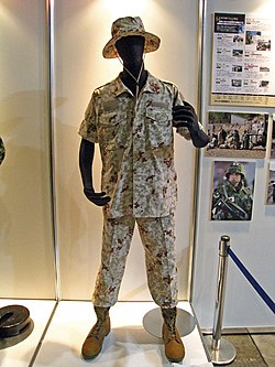 戦闘装着セット - Wikipedia