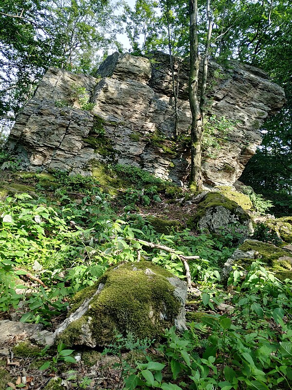 Špičák (bukid sa Nasod nga Czech, Moravskoslezský kraj)