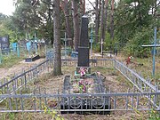 Братська могила радянських воїнів на цвинтарі с. Великі Лісівці (загальний вигляд).jpg