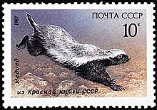 Медоед на советской почтовой марке, 1987