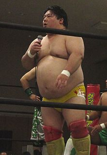 <span class="mw-page-title-main">Gota Ihashi</span> Japanese professional wrestler