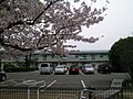 吉野川市立知恵島小学校