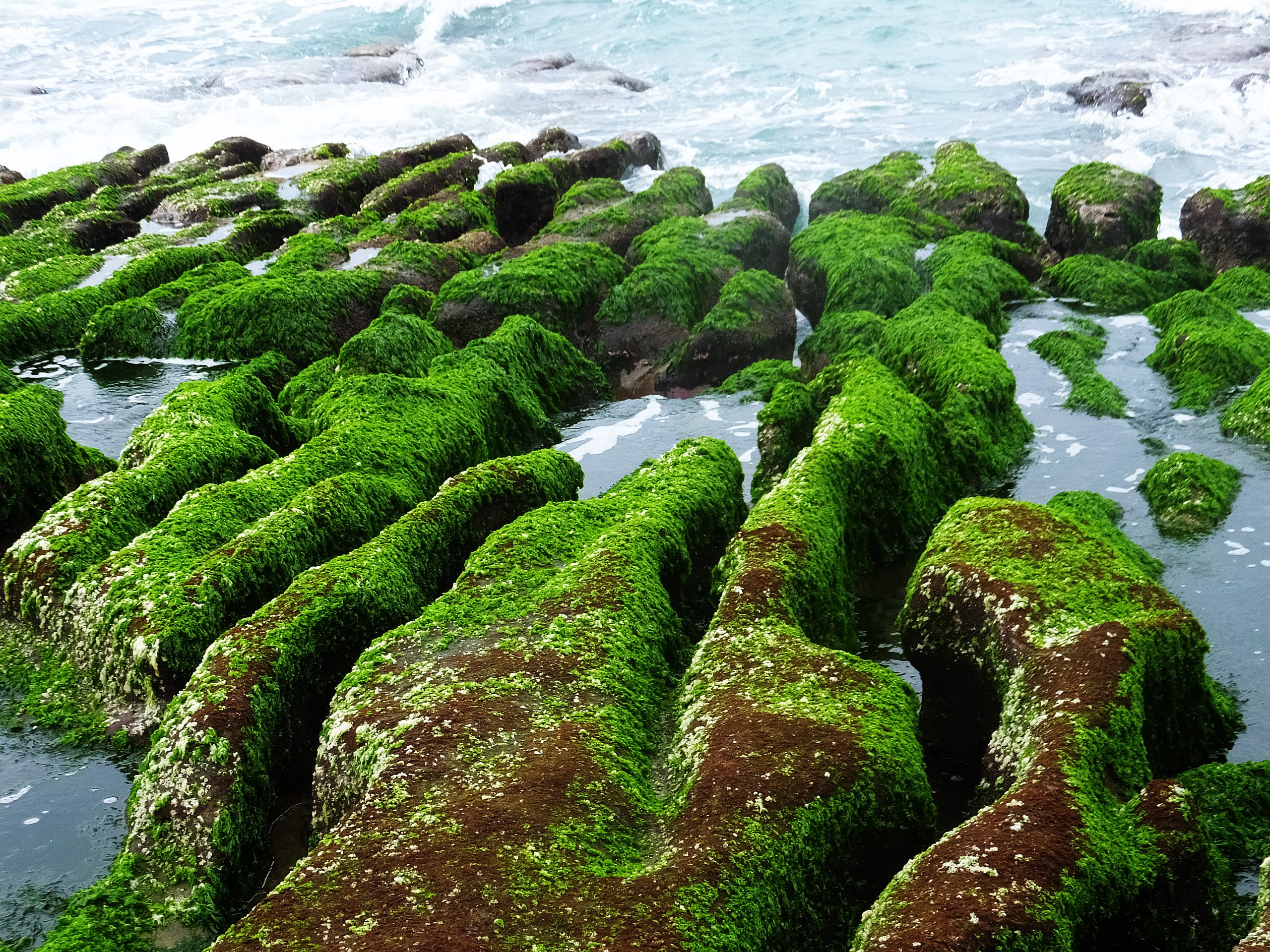 File 老梅綠石槽 Laomei Algal Reef Panoramio Jpg Wikimedia Commons