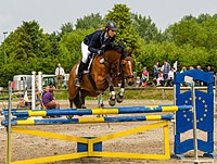 Rank: 23 Horsewoman at the jumping tournament