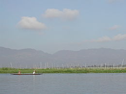 081-Inle Lake-svømmende tomater.JPG