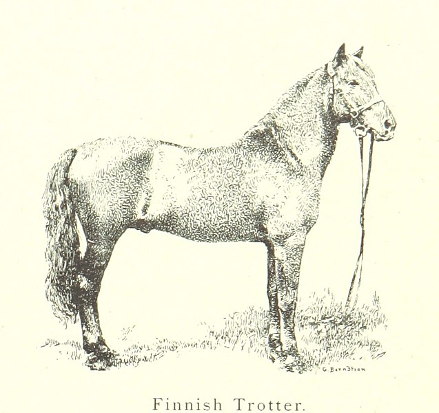 File:117 of 'Finland in the Nineteenth Century- by Finnish authors. Illustrated by Finnish artists. (Editor, L. Mechelin.)' (11129715144).jpg