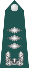 대위 (Daewi)South Korean army