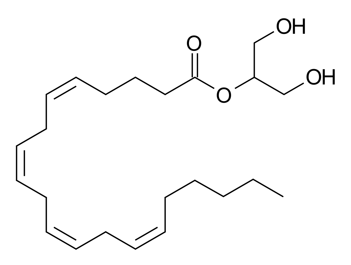 Estrutura química da anandamida e do 2-glicerol araquidonil (2-AG)