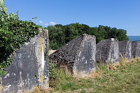 2015 Gland Sentier Toblerones 1