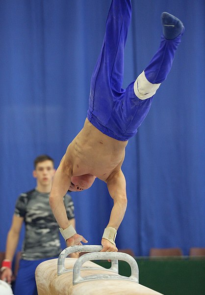 File:2019-05-24 Budapest Cup training pommel horse (Martin Rulsch) 413.jpg