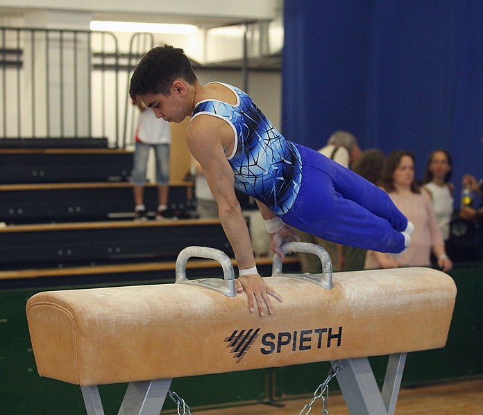 File:2019-05-25 Budapest Cup age group II all-around competition pommel horse (Martin Rulsch) 151.jpg