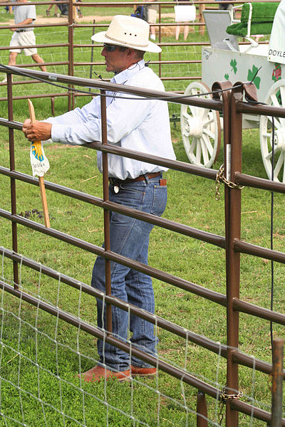 File:23.DylanBiggs.TkRanch.SFLF.WDC.8jul06 (219839780).jpg