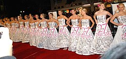 27 Dresses at 27 Dresses Premiere 4.jpg