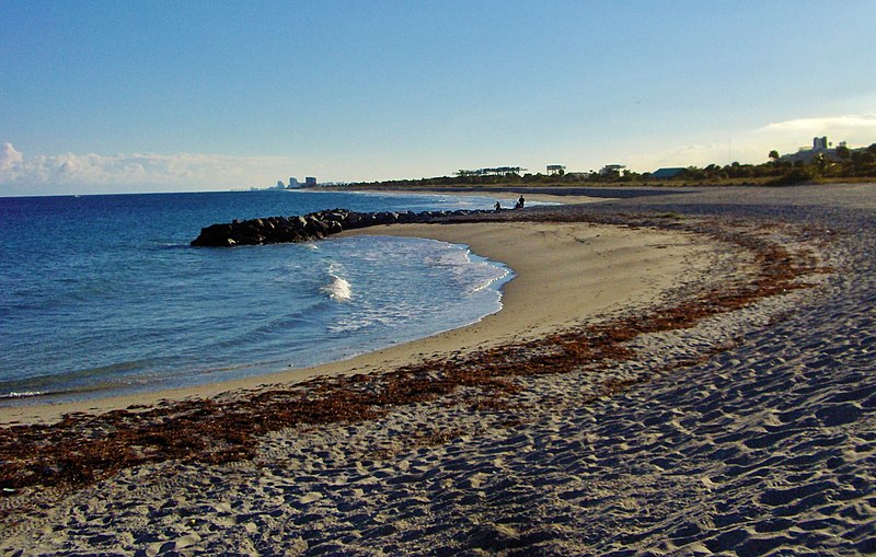 File:After the high tide...- Les résidus de la marée haute... - panoramio.jpg