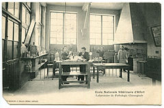 Alfort, École Nationale Vétérinaire