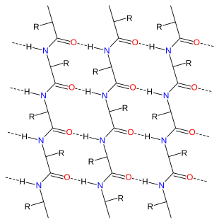 Proteine: Descrizione, Struttura, Sintesi