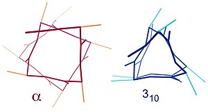 Hèlix Alfa: Història, Estructura, Determinació experimental