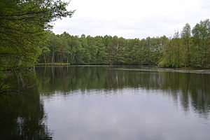 Lake in the nature reserve