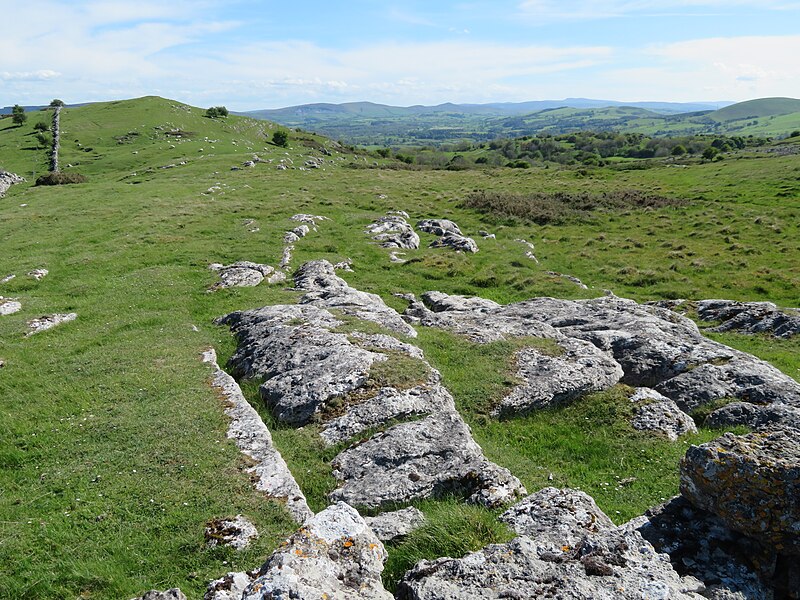 File:Ar gopa Bryn Alyn - close to Bryn Alyn summit, 69.jpg