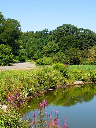 How to get to Arnold Arboretum with public transit - About the place