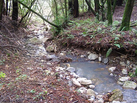 Arroyo Seco Creek