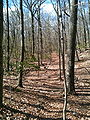 Aspetuck Valley Trail path through woods. near Towne End Road. Blue-Blazed CFPA foot path in Connecticut Centennial Watershed State Forest which connects to Huntington State Park at the northern terminus and which follows the Aspetuck River from Newtown, CT through Redding and Easton, CT.