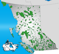 Bobtail - Wikipedia, la enciclopedia libre