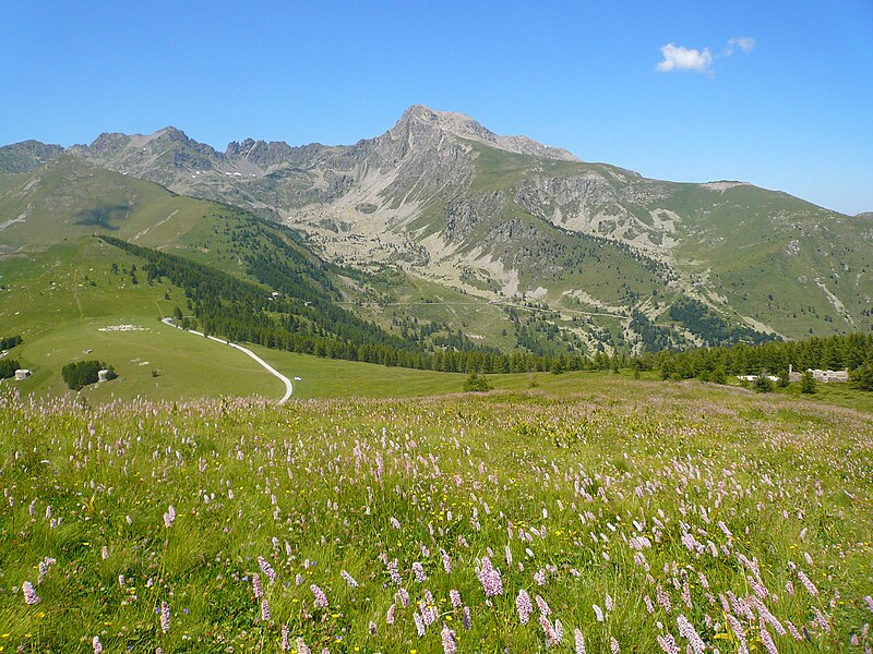 File:Baisse du Peyrefique and Roche de L'Abysse - panoramio.jpg