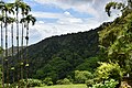 Français : Paysage depuis le jardin de Balata en Martinique.