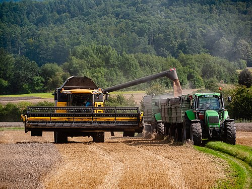 Loading a trailer with grain by a combine harvester