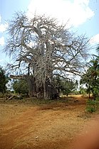 Zanzibar, Tanzania