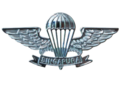 Basic Parachutist Badge - Singapore Army.png