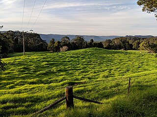 Bellawongarah Town in New South Wales, Australia