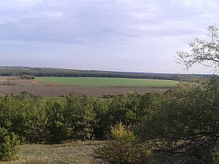 <span class="mw-page-title-main">Bila Krynytsia, Kherson Oblast</span> Rural locality in Kherson Oblast, Ukraine