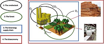 Alternative system boundaries for assessing climate effects of forest-based bioenergy. Option 1 (black) considers only the stack emissions; Option 2 (green) considers only the forest carbon stock; Option 3 (blue) considers the bioenergy supply chain; Option 4 (red) covers the whole bioeconomy, including wood products in addition to biomass. Bioenergy system boundaries.jpg