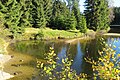 Čeština: Blatný rybník - mezi Novou Loukou a Kristiánovem, Jizerské hory, okres Jablonec nad Nisou - ČR English: Pond Blatný rybník in Jizera Mountains, Jablonec nad Nisou District - Czech Republic