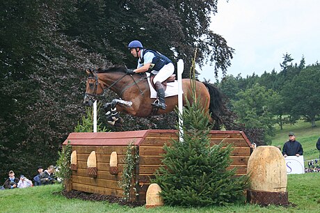 Cross-country (équitation)