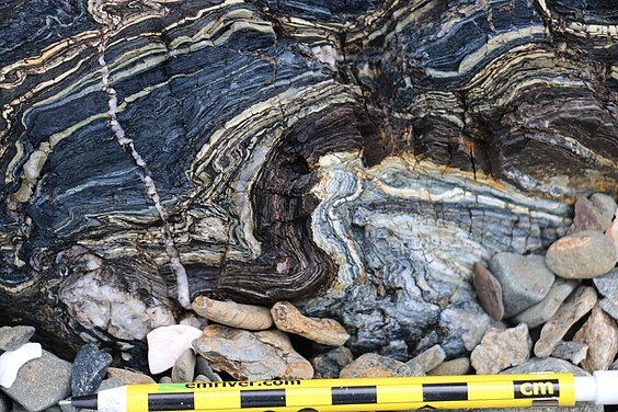 Folded blue metacherts with glaucophane-rich layers, exposed in outcrops on Kayak Beach, Angel Island, northern San Francisco Bay. Blue folded metacherts with glaucophane-rich (ashy%3F) layers.jpg