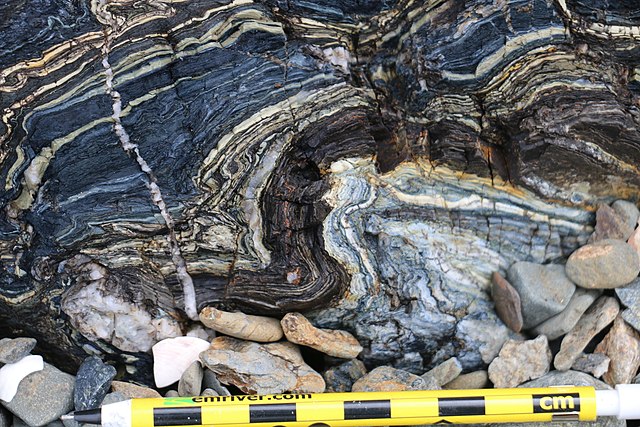 Folded glaucophane-rich metasedimentary rocks on Kayak Beach, Angel Island