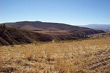 Wheat production in Bolivia. Bolivianwheatproduction.jpg