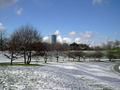 Snow-covered Rheinaue