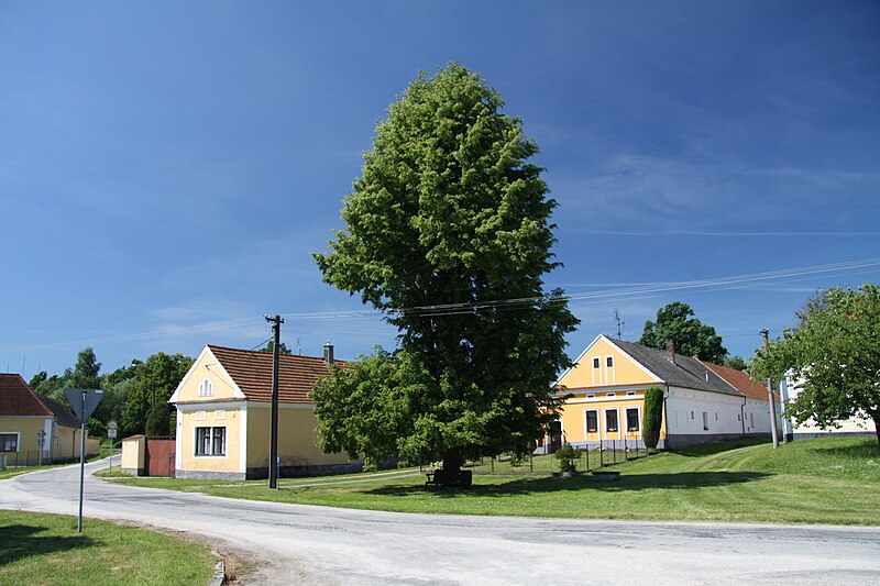 File:Bosilec village in 2011 (1).JPG