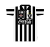 Botafogo 1992.png