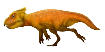 Life restoration of the protoceratopsid Breviceratops kozlowskii (mainly based on ZPAL MgD-I/117).