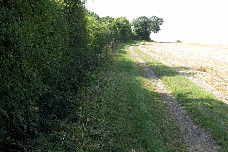 File:Bridleway to Longcroft Spinney - geograph.org.uk - 3640267.jpg