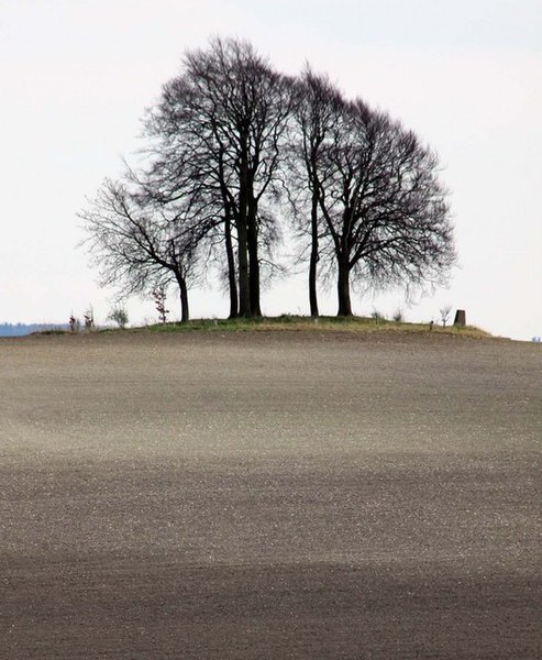 File:Brightwell Barrow from Castle Hill - geograph.org.uk - 1242088.jpg